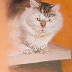 Hannelie Gouws Design