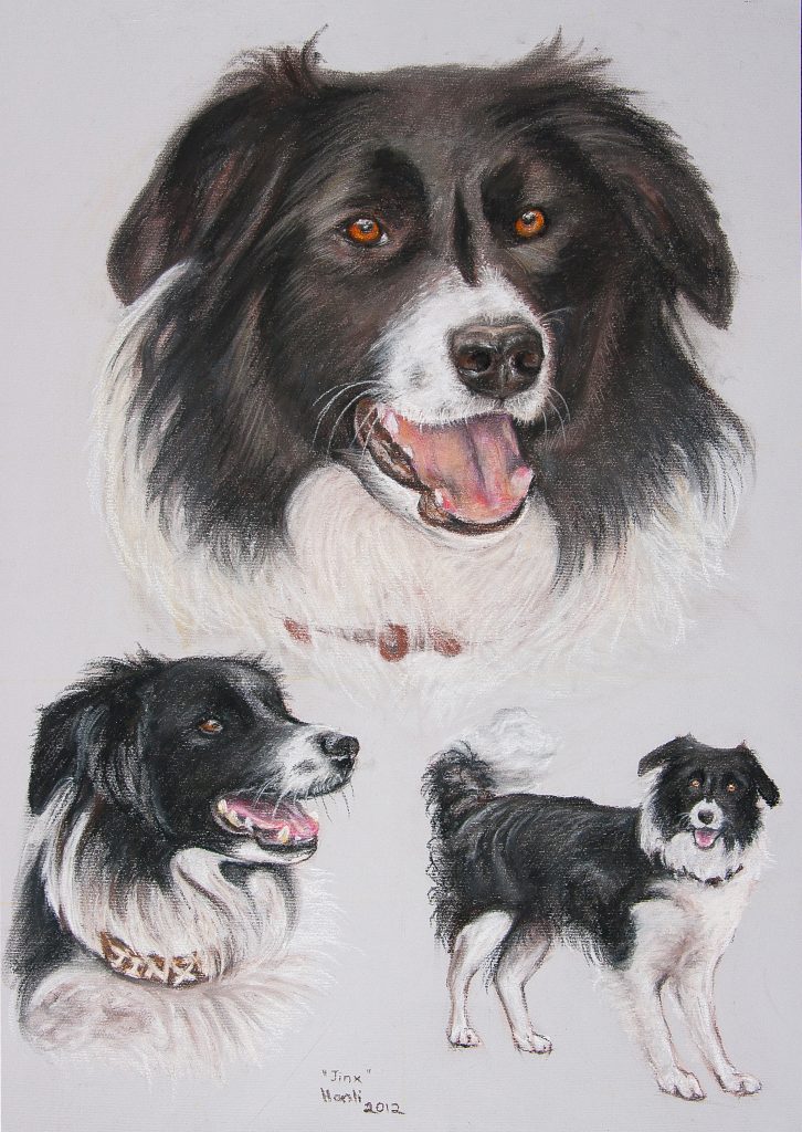 Hannelie_Gouws_Animal_Portraits