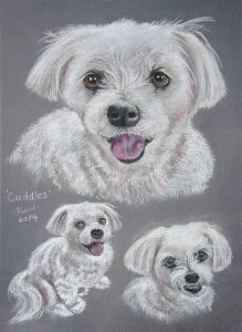 Pastel Animal Portrait