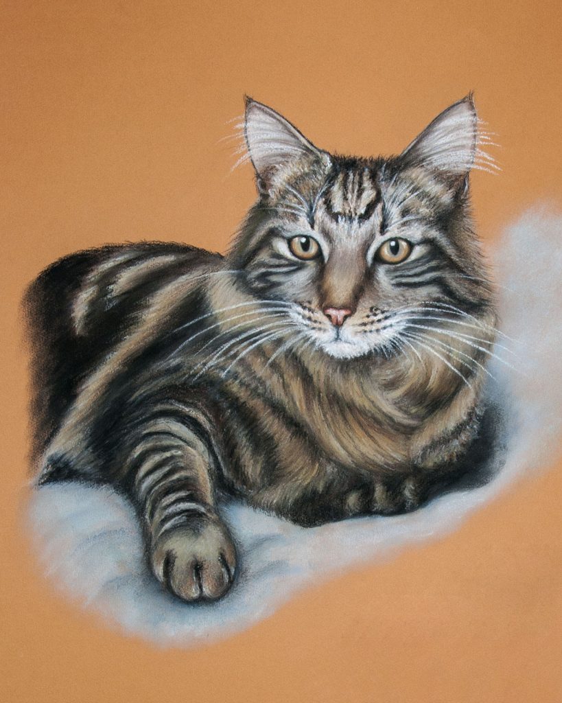 Hannelie Gouws Design