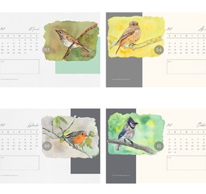 Free Watercolour Bird Calendar 2022