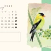 Free Watercolour Bird Calendar 2026 - Watercolour Bird Paintings