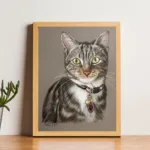 Hannelie_Gouws-Design