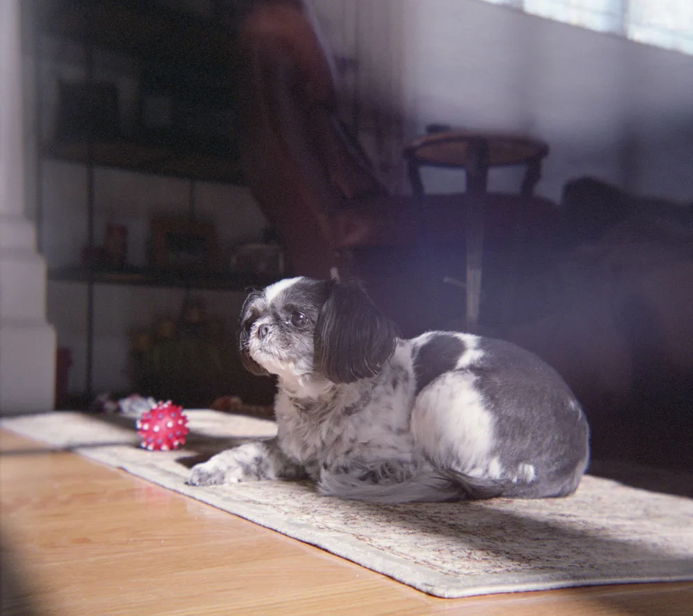 Old printed photos can be scanned and digitally altered.