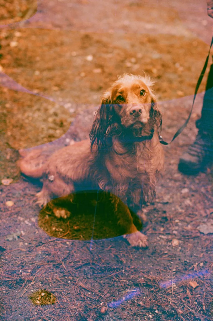 Faded  photos can be used and boosted in editing software.